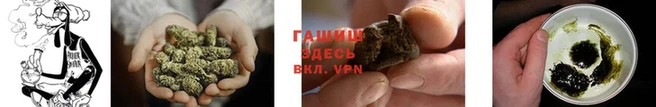 гидропоника Михайловка
