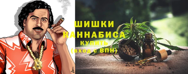 2c-b Медногорск
