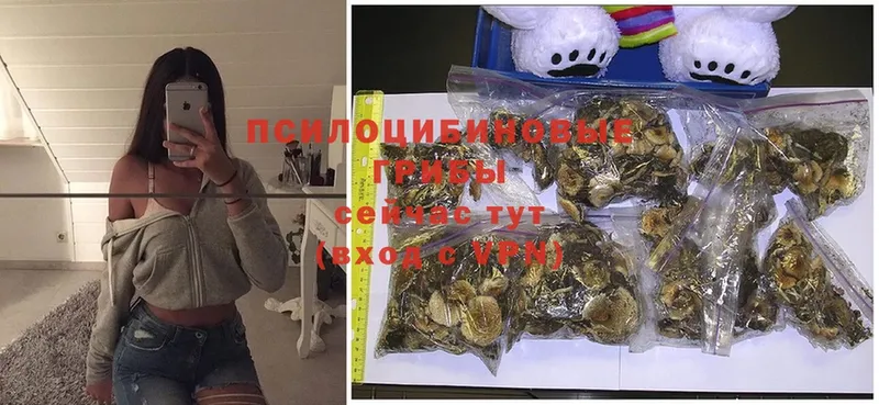 Псилоцибиновые грибы MAGIC MUSHROOMS  mega ССЫЛКА  Нестеров 