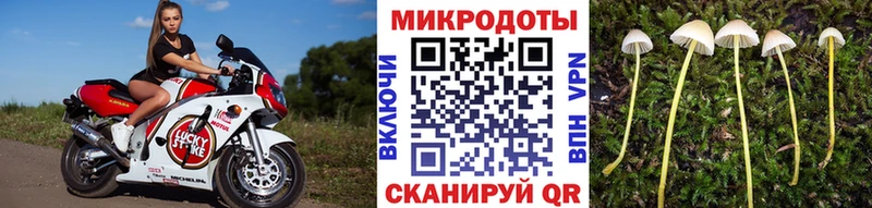закладка  Нестеров  Галлюциногенные грибы мицелий 